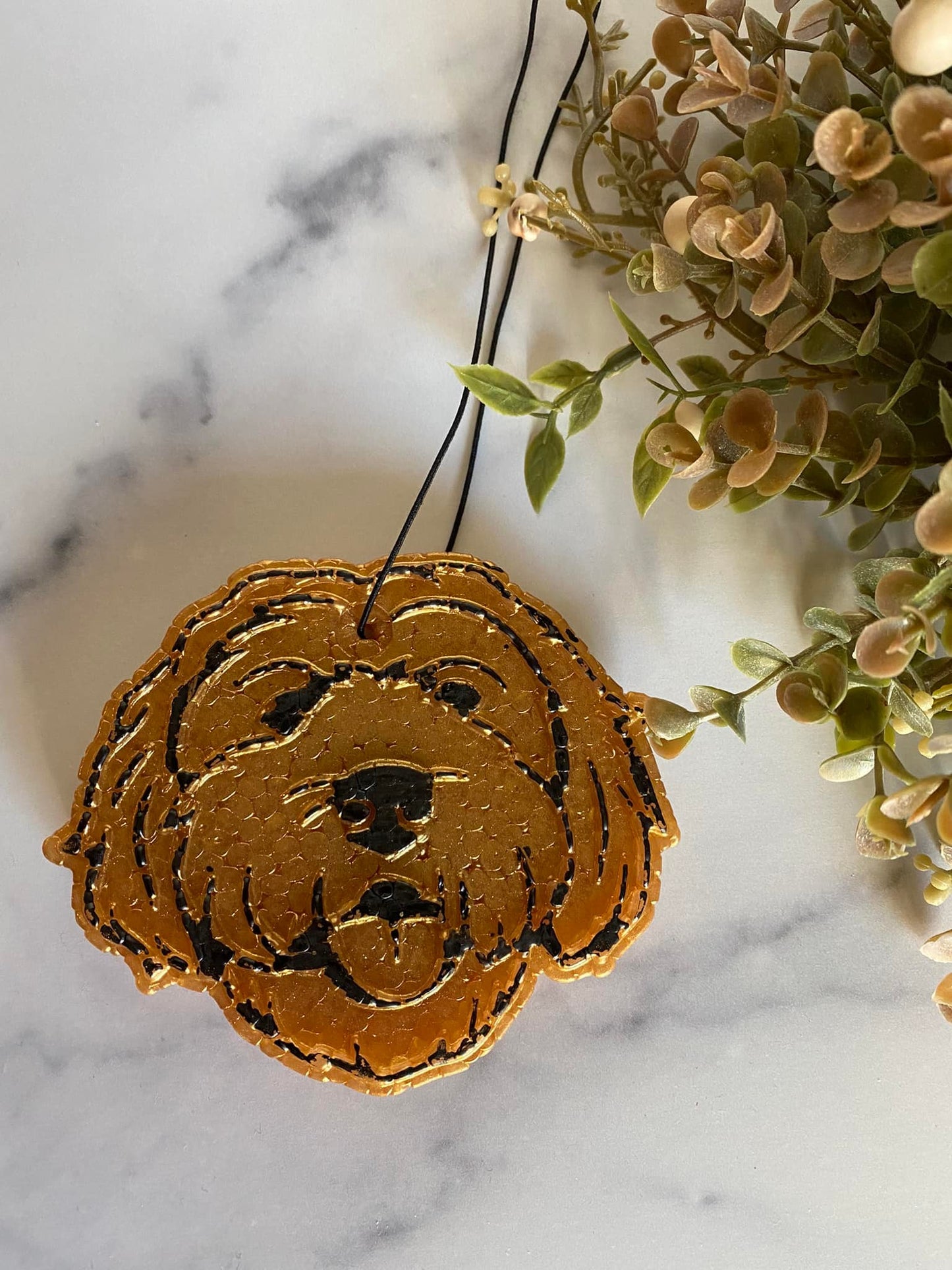 Goldendoodle Freshie