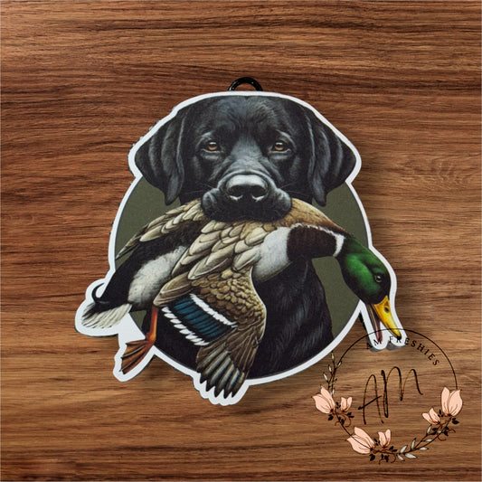 Duck Hunting